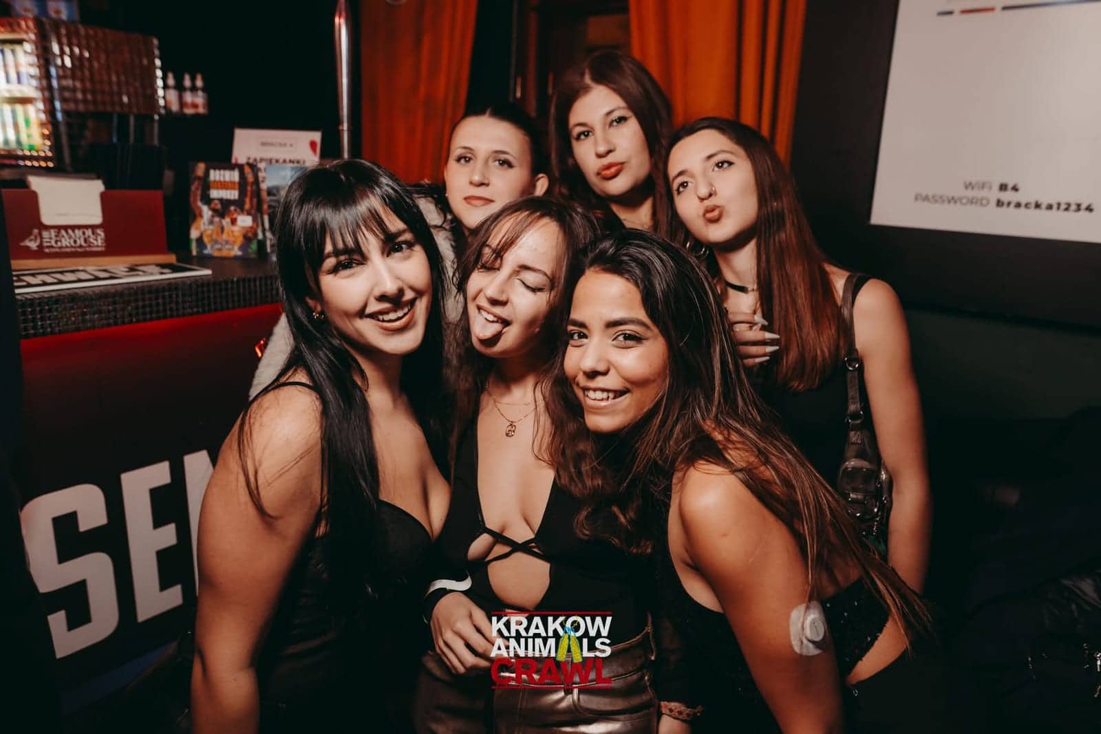 Sylwestrowy pub crawl w Krakowie - główne zdjęcie atrakcji