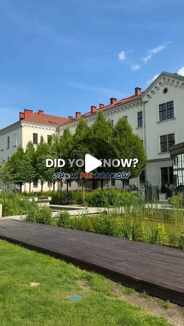 Show Me Krakow Instagram reel: A quieter Krakow walk